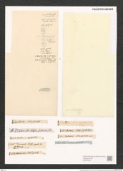 Nitzschia spathulata Breb. (de-Toni-Nr.: Genus 47, Species 2088) Zeichnungen Sammlung Grunow (NHMW-BOT-W0372030)